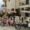 Epavlis Boutique_accommodation_in_Hotel_Central Greece_Fokida_Galaxidi