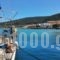 Nontas Hotel_best deals_Hotel_Piraeus islands - Trizonia_Aigina_Aigina Rest Areas