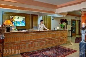Hotel Vermion_best prices_in_Hotel_Macedonia_Imathia_Naousa