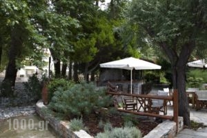 Hotel Morfeas_lowest prices_in_Hotel_Macedonia_Pieria_Dion