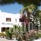 Amaryllis Hotel_accommodation_in_Hotel_Cyclades Islands_Sandorini_Emborio