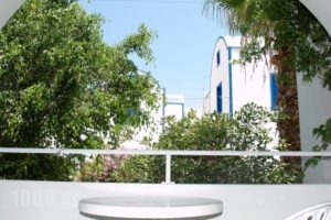Amaryllis Hotel_lowest prices_in_Hotel_Cyclades Islands_Sandorini_Emborio