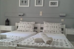 Icarus Rooms_accommodation_in_Room_Cyclades Islands_Paros_Paros Chora