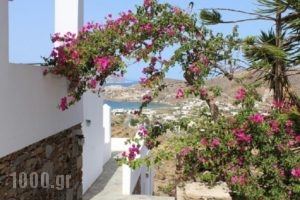 Country House Apartments_holidays_in_Apartment_Cyclades Islands_Ios_Ios Chora