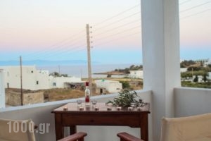 Nicos Studios & Apartments_best deals_Apartment_Cyclades Islands_Paros_Paros Chora