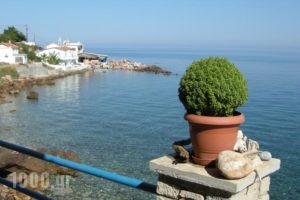 Alkioni Studios_best prices_in_Hotel_Aegean Islands_Samos_Karlovasi