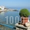 Alkioni Studios_best prices_in_Hotel_Aegean Islands_Samos_Karlovasi