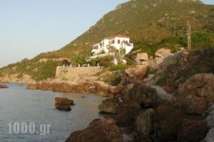 Alkioni Studios_lowest prices_in_Hotel_Aegean Islands_Samos_Karlovasi