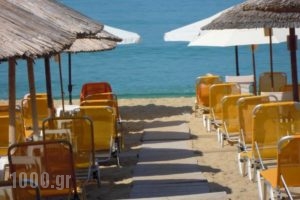Hotel Loukas & Apartments_best deals_Apartment_Ionian Islands_Paxi_Paxi Chora