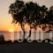 Studios Petra_travel_packages_in_Cyclades Islands_Naxos_Naxos chora