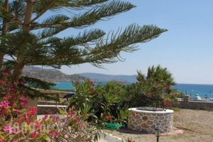 Kalimera Karpathos_best prices_in_Hotel_Dodekanessos Islands_Karpathos_Karpathos Chora