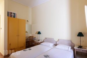 Eleonas Guesthouse_best prices_in_Hotel_Central Greece_Fthiotida_Atalanti