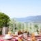 Eleonas Guesthouse_accommodation_in_Hotel_Central Greece_Fthiotida_Atalanti