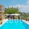 Aleka's House_holidays_in_Hotel_Ionian Islands_Lefkada_Lefkada Chora