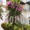Studio Paul'S_lowest prices_in_Hotel_Cyclades Islands_Sandorini_Perissa