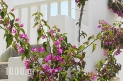 Korali Hotel And Apartments in Antiparos Chora, Antiparos, Cyclades Islands
