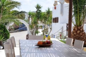Alexandros Mykonos_holidays_in_Hotel_Cyclades Islands_Mykonos_Mykonos Chora