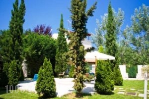 Gi Ga Mar_lowest prices_in_Hotel_Macedonia_Halkidiki_Kassandreia