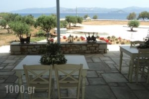 Ambelas Mare Apartments_best deals_Apartment_Cyclades Islands_Paros_Paros Chora