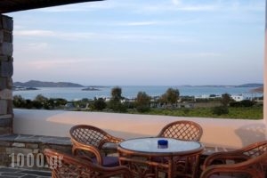 Agrabeli Studios & Apartments_holidays_in_Apartment_Cyclades Islands_Paros_Paros Rest Areas