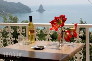 Lido Sofia Apartments_best prices_in_Apartment_Ionian Islands_Corfu_Agios Gordios