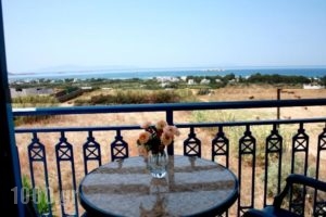 Kapares Studios_best prices_in_Hotel_Cyclades Islands_Naxos_Agia Anna