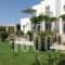 Elizabeth_holidays_in_Hotel_Cyclades Islands_Paros_Paros Chora
