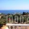 Climati Studios_lowest prices_in_Hotel_Ionian Islands_Zakinthos_Zakinthos Rest Areas
