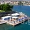 Pension Hirolakas_holidays_in_Hotel_Central Greece_Fokida_Galaxidi