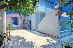Dolphin Hotel_lowest prices_in_Hotel_Sporades Islands_Skopelos_Skopelos Chora