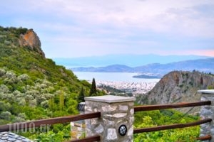 Archontiko Argyro_best prices_in_Hotel_Thessaly_Magnesia_Volos City