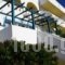 Studios Fokia Beach_best deals_Hotel_Dodekanessos Islands_Karpathos_Karpathos Chora