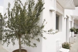 Mykonos Unique Apartment_lowest prices_in_Apartment_Cyclades Islands_Mykonos_Mykonos ora