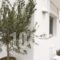 Mykonos Unique Apartment_lowest prices_in_Apartment_Cyclades Islands_Mykonos_Mykonos ora