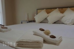 Zonita Guest House_best prices_in_Hotel_Macedonia_Halkidiki_Nea Moudania