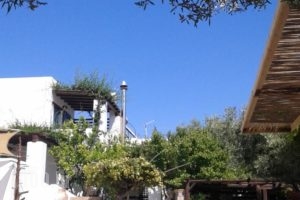 Patriko_accommodation_in_Hotel_Sporades Islands_Skyros_Aspous