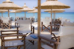 Kokkoni Beach Hotel_holidays_in_Hotel_Peloponesse_Korinthia_Vrachati