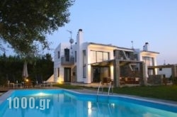 Sunny Sani Luxury Villas in Athens, Attica, Central Greece