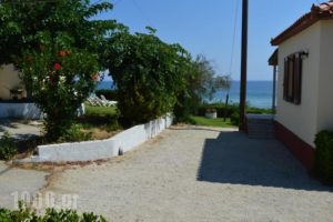 Beach Bungalows_best deals_Hotel_Ionian Islands_Zakinthos_Alykes