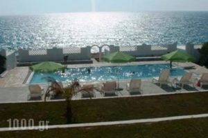 Elenis Studios_accommodation_in_Hotel_Dodekanessos Islands_Karpathos_Karpathos Rest Areas