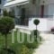 Gatos Studios & Apartments_best deals_Apartment_Macedonia_Thessaloniki_Thessaloniki City