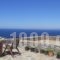 Villa Carmen_holidays_in_Villa_Cyclades Islands_Kea_Kea Rest Areas