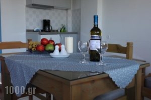 Amalthia Apartments_best prices_in_Apartment_Crete_Heraklion_Chersonisos