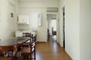 Emilia Luxury Apartments_best deals_Apartment_Cyclades Islands_Syros_Posidonia