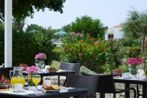 Fito Bay_holidays_in_Hotel_Aegean Islands_Samos_Pythagorio