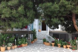 Sotiria Studios_accommodation_in_Hotel_Aegean Islands_Thassos_Thassos Chora