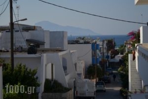 Andreas Studios_holidays_in_Hotel_Dodekanessos Islands_Kos_Kos Rest Areas