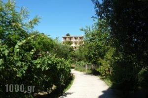 Emely Apartments_best deals_Apartment_Ionian Islands_Corfu_Corfu Rest Areas