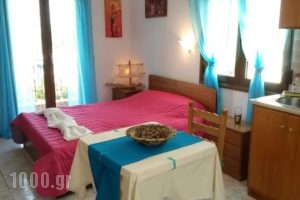 Agnantio Studio_accommodation_in_Hotel_Sporades Islands_Skopelos_Skopelos Chora