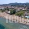 Island Beach Bamboo_best prices_in_Hotel_Ionian Islands_Corfu_Lefkimi